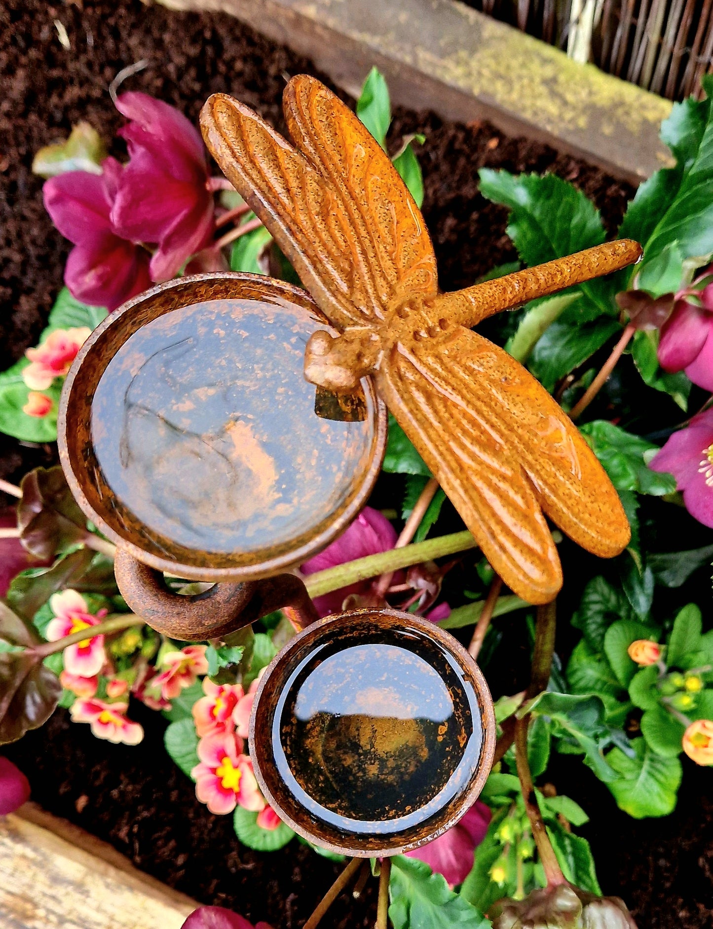 Rusty Dragonfly Rain Catcher Set