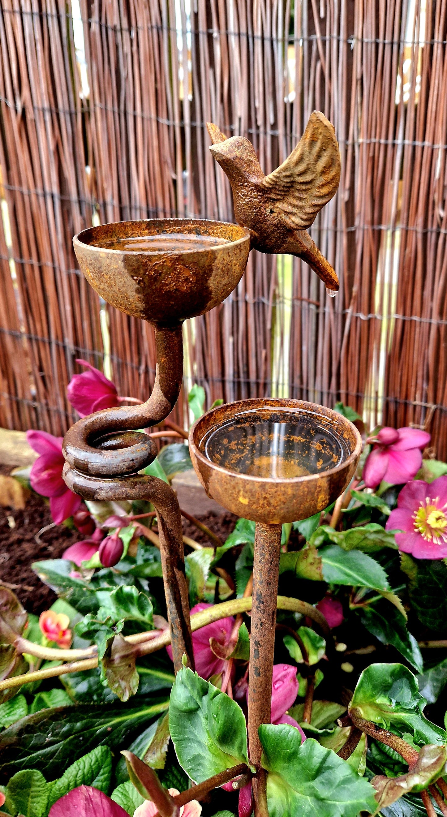 Rusty Bird Rain Catcher Set