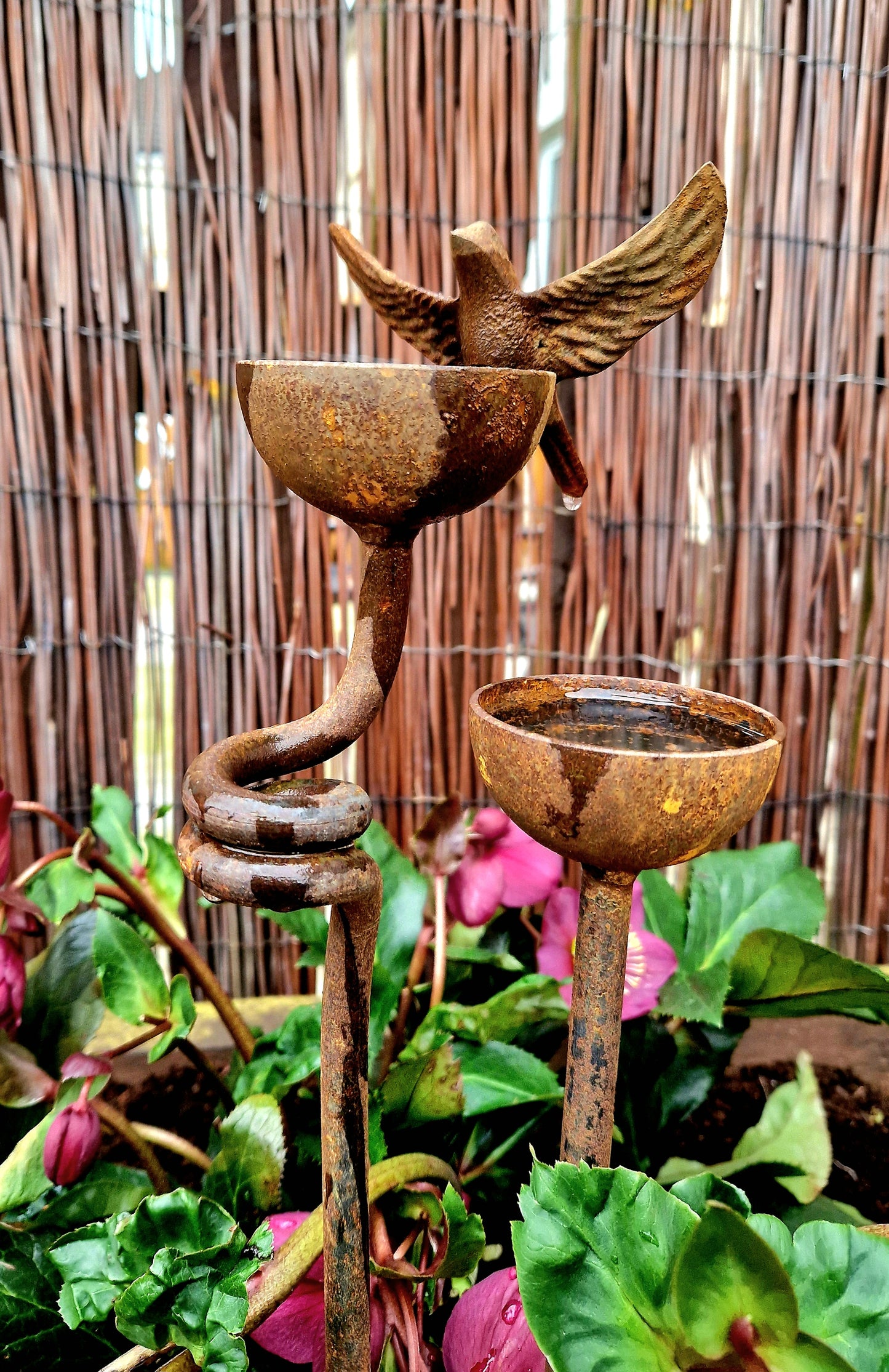 Rusty Bird Rain Catcher Set