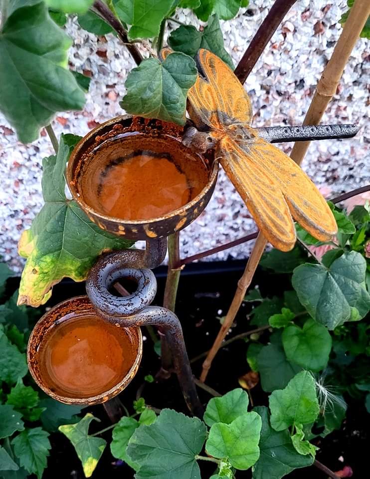 Rusty Dragonfly Rain Catcher Set