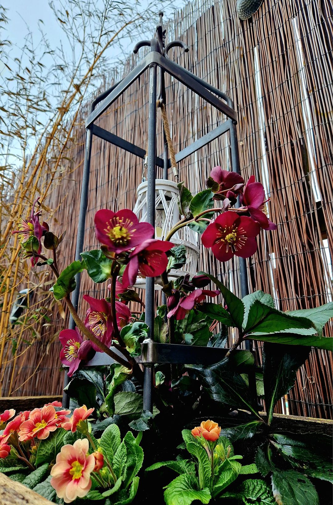 Rusty Hanging Lantern Obelisk