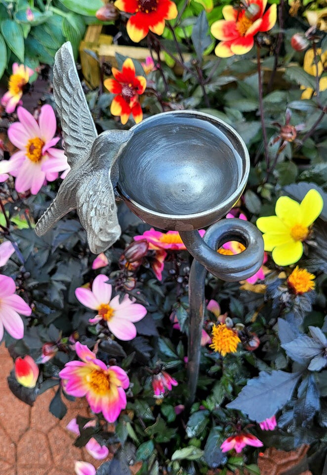 Rusty Bird Rain Catcher Single